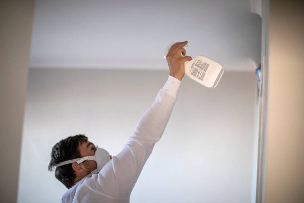 Best Attic Mold Removal  in Early, TX