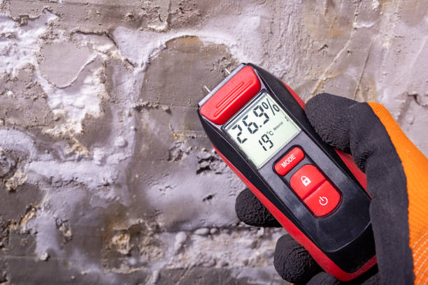 Best Toxic Mold Removal  in Early, TX