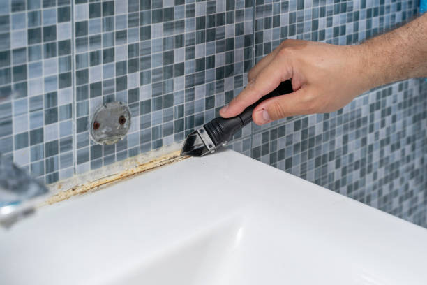 Reliable Early, TX Mold Removal Solutions