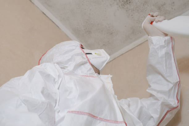 Mold Removal Process in Early, TX