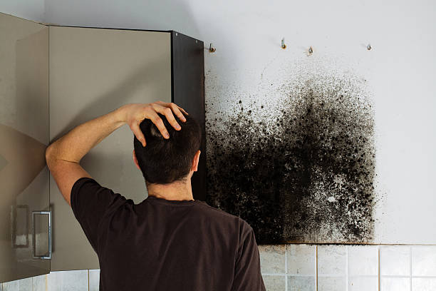 Best Mold Removal Process  in Early, TX